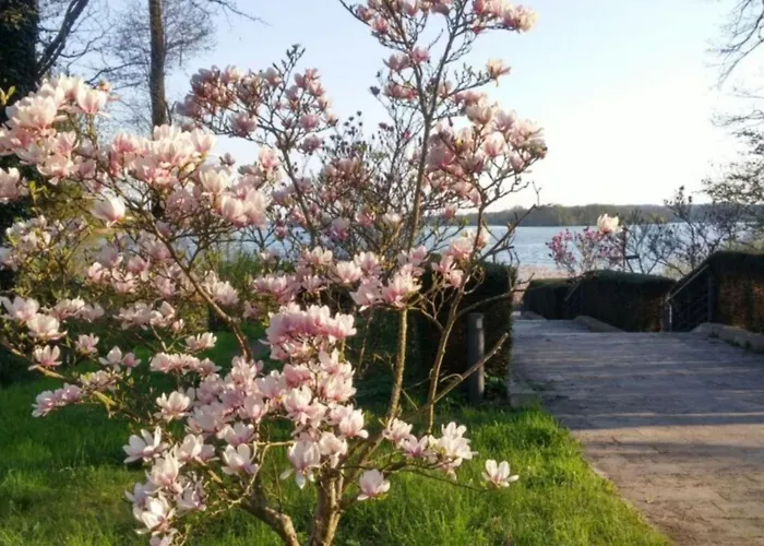 Am By Interhome Apartamento