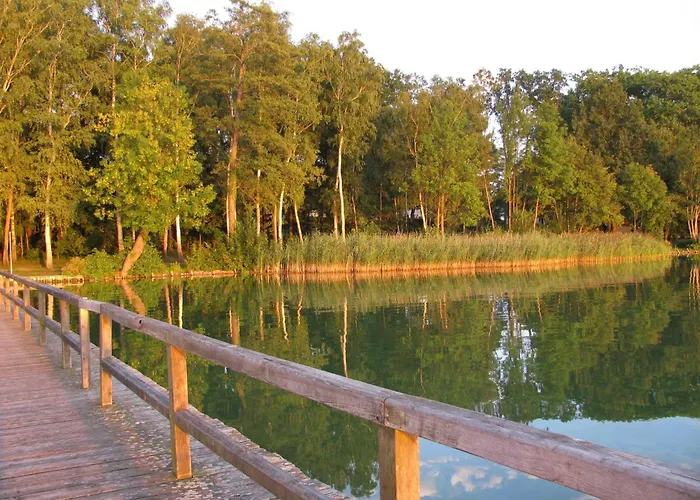 Apartment Am By Interhome Bad Saarow